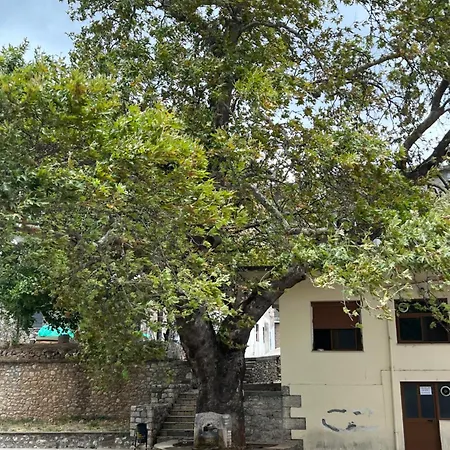 Restorant Jorgo Ξενοδοχείο Leskovik